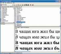 Хотя утилита Bitstream Font Navigator 2006 давно не обновлялась, она остаётся отличным инструментом. Попробовав один раз, вы уже не сможете спокойно оперировать со шрифтами через аскетичную панель управления Windows