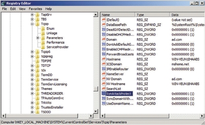 Экран 10. Проверка настройки SynAttackProtect