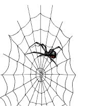 Базы данных в Семантической паутине