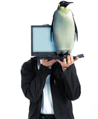 Даже если общая стоимость владения не приносит никакой выгоды по сравнению с коммерческими системами, операционная система Linux все равно обладает определенными преимуществами с финансовой точки зрения