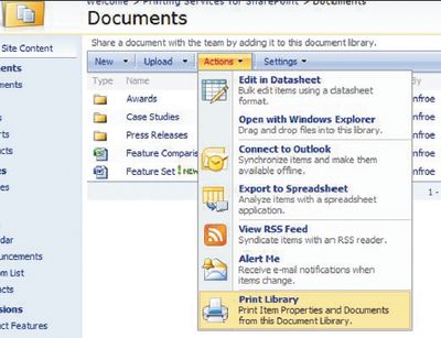 Экран. Печать свойств документа и его элементов