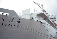 Прокладку подводного кабеля у берегов Японии осуществляет специально построенное судно Subaru, принадлежащее NTT