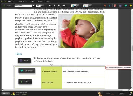 Рис. 3. Богатый пользовательский опыт работы с приложением Buzzword компании Adobe
