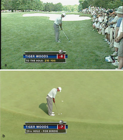 Снимки экранов для телевидения стандартной (а) и высокой (б) четкости — разница видна невооруженным глазом