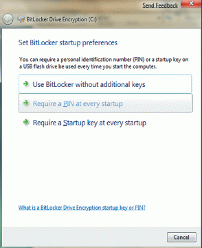 Экран 7. Ввод PIN  при каждой загрузке