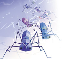 Муравьи несут с собой опустошение. Они ищут себе корм и в его поисках проникают в любую щель. Зачастую их путь пролегает через дорогостоящее оборудование, которому отводится важнейшая роль в обеспечении жизнедеятельности различных систем