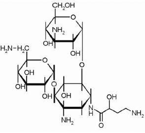 Рис. 1. Химическое строение аминогликозидов на примере амикацина. Общая характеристика аминогликозидов