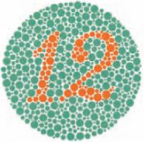 Надёжно зарекомендовавшие себя тестовые таблицы Ишихары используются во всём мире. На фрагменте № 1 (вверху) практически все видят число 12. На фрагменте № 9 (внизу) человек с нормальным зрением увидит число 74, а с дальтонизмом красного/зелёного — число 21. Вообще не различающие цветов не интерпретируют ни одного числа. Принцип и основа теста — качество и относительное расположение цветов. Приведённые таблицы не являются реальным тестом из-за специфических ограничений триадной печати. Любые тесты проводятся и анализируются лишь квалифицированными специалистами. Источник: Ishihara’s Tests for Colour Deficiency, издание Kanehara Trading, права принадлежат Isshin-kai Foundation