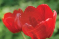 Объектив Sony DT 18—70 мм f/3,5—5,6, 1/125 c, f/5,6, ISO125