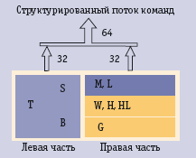 Рис. 3. Структура команды 
