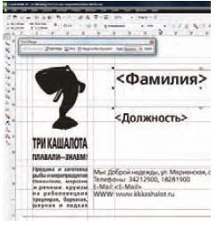 Рис. 11. Размещение полей в макете