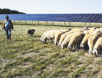 Всего лишь за час на Землю попадает такое количество солнечного света, которого достаточно для удовлетворения годовых энергетических потребностей всей планеты — задача в том, чтобы эту энергию суметь использовать