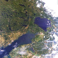 MERIS: Ладожское озеро и Финский залив