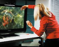 В ходе реализации проекта Natal корпорация Microsoft намерена добиться контроля движений в трех измерениях без необходимости для пользователей вооружаться специальными контроллерами