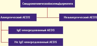 Рис. 1. Классификация EAACI (Европейская ассоциация аллергологв и клинических иммунологов) синдрома атопической экземы/дерматита (AEDS)