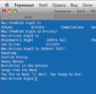 Для консерваторов, предпочитающих слушать музыку на своем привычном проигрывателе, а работать с iPod желающими, непосредственно копируя файлы использующих среду ОС Linux либо Mac OS X, разработано решение под названием Fusepod