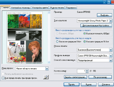 Возможности модуля вывода для Adobe Photoshop повторяют драйвер; важное дополнение: прямая печать 16-битных изображений без уменьшения цветовой глубины до 8 бит с сопутствующей потерей градаций