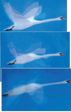 Мини-видео на лентикулярной плёнке ПЭТ, отпечатанной сухим листовым офсетом на 74Karat от КБА