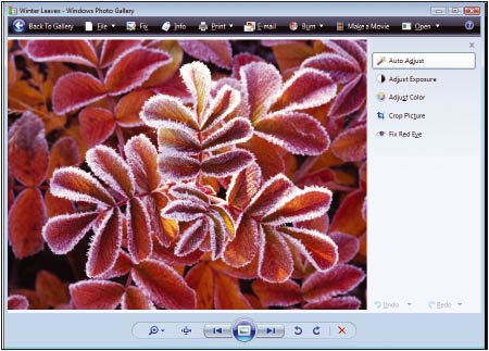 Рис. 7. Программа «Фотоальбом Windows» (Windows Photo Gallery) в составе Vista позволяет одним щелчком вносить в изображения элементарные исправления, равно как и использовать входящие в нее инструменты для обработки вручную