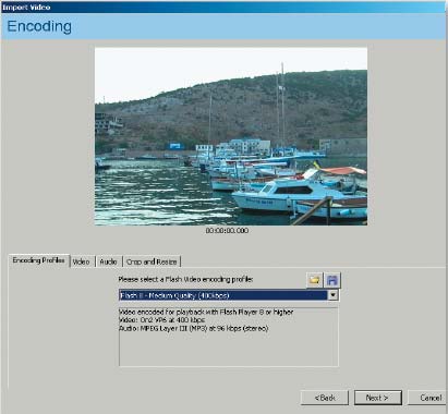Рис. 5. Диалоговое окно Import Video — Encoding profiles