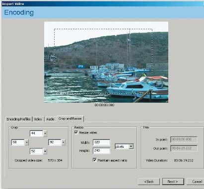 Рис. 7. Вкладка Crop and Resize диалогового окна Encoding