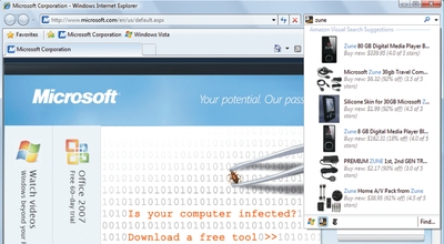 Экран. Результаты визуального поиска в IE 8.0