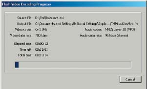 Рис. 8. Панель Flash Video Encoding Progress