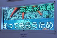 Экран Diamond Vision обладает рядом преимуществ перед обычными большими светодиодными экранами 