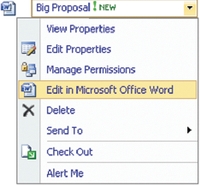 Экран 1. Меню редактирования документа