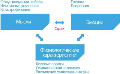 Рис. 2. Взаимосвязь когнитивных, эмоциональных и физиологических характеристик Рис. 2. Взаимосвязь когнитивных, эмоциональных и физиологических характеристик