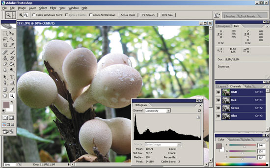 Гистограмма — удобный инструмент анализа Гистограмма — удобный инструмент анализа