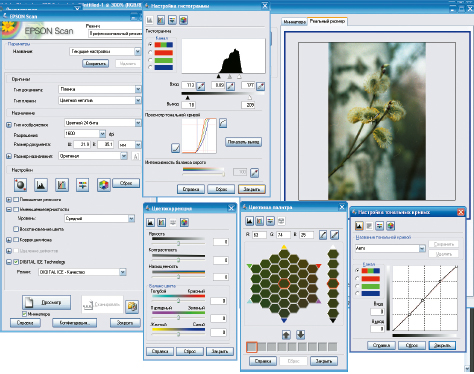 В полностью раскрытом состоянии элементы управления Epson Scan с трудом помещаются на экране. 