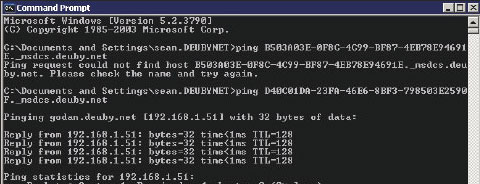 Рис. 4. Эхо-тестирование CNAME Kohai