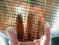 Путем вытравливания отверстий процессорах, инженеры IBM намерены сократить суммарную длину проводников в тысячу раз и на 40% уменьшить энергопотребление