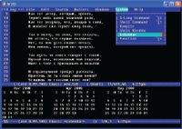 В программе Jed, как и в Emacs, можно не только редактировать тексты, но и читать электронную почту, работать с календарем и т.д.