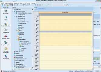 Рабочая область приложения в MOBILedit