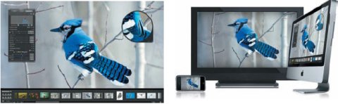 Поддержка технологии Aperture популярными гаджетами iPhone и iPod, программами iLife и iWork делает возможным перенос и использование библиотеки изображений где угодно