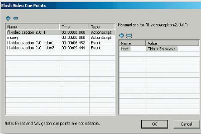 Рис. 7. Панель Flash Video Cue Points 