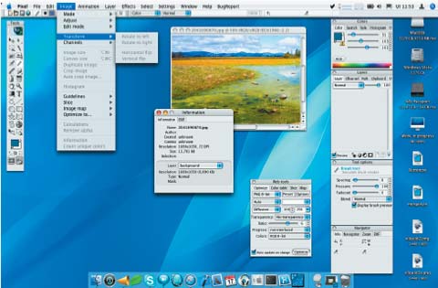 Секретный снимок. Версия Pixel для Mac OS X, в данный момент находящаяся в стадии разработки