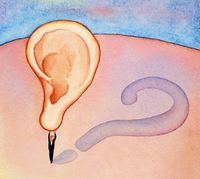 В основу идеи использования человеческого уха в качестве средства персональной идентификации положено явление так называемой отоакустической эмиссии — шума, исходящего из внутреннего уха