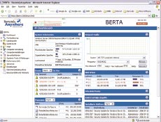 Рисунок 4. В инструментальной панели RemotelyAnywhere администратор  получает подробную информацию об устройстве. 