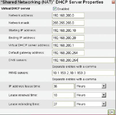 Экран 3. Определяемые пользователем в Virtual Server настройки DHCP