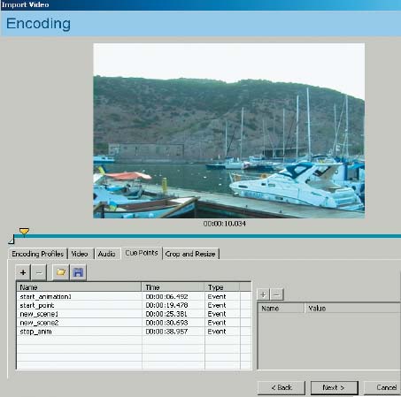 Рис. 3. Вкладка Cue Points диалогового окна Encoding