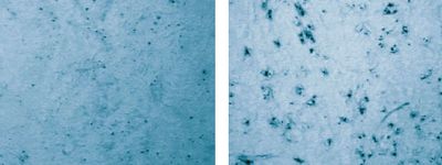 Рис. 4. Сравнение качества краскопереноса с помощью высокомодульной сетки с предварительной химической обработкой (слева) и без неё (справа)
