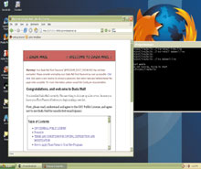 Инструментарий Lina имеет форму приложения, написанного для хостовой системы, которая виртуализует аппаратные системы в архитектуре x86. Он запускает модифицированное ядро Linux (в настоящее время версию 2.6.19) вместе со стандартной файловой системой и библиотеками Linux, отображенными на эквивалентные ресурсы на хостовой платформе