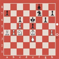 Последняя критическая позиция