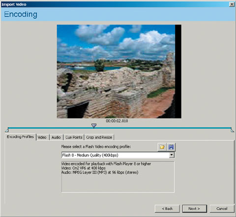 Рис. 2. Панель Video Encoding