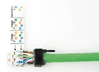 Рисунок 2. Вилка RJ45 для полевой установки с направляющими для правильной укладки отдельных проводников кабеля.