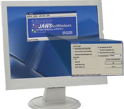 В России наибольшее распространение получил очень гибкий инструмент Jaws for Windows, разработанный компанией Freedom Scientific. Он обладает большим количеством функций. Помимо стандартных средств операционной системы Jaws for Windows имеет собственный механизм получения информации о состоянии пользовательского интерфейса — видеоперехватчик