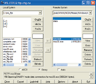 Программа WS_FTP предельно миниатюрна  — ее можно послать по электронной почте вместе с настройками